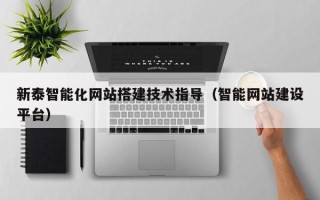 禹城新泰智能化网站搭建技术指导（智能网站建设平台）