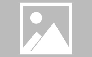 禹城搭建网站招聘信息（网站制作 招聘）